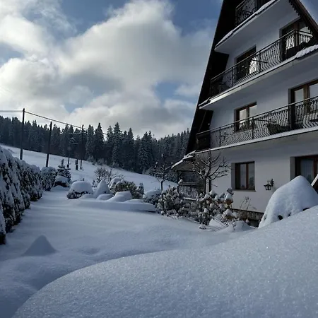 U Jancoka Bed & Breakfast Brzegi (Tatra)